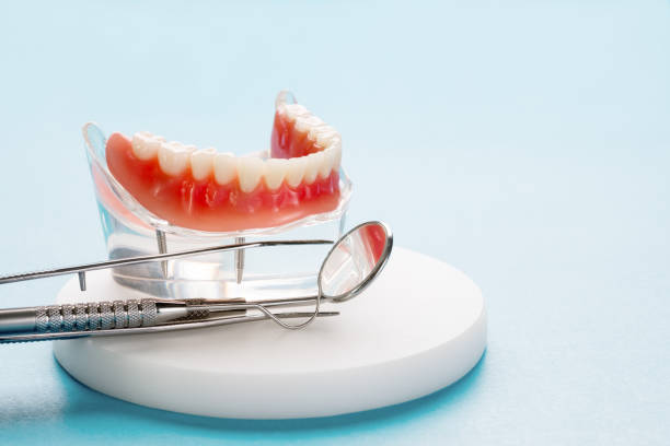 Professional Holistic Dental Care Services in Lorane, PA